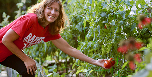 A woman leans over to pick some delicious looking red tomatoes while smiling at the camera.